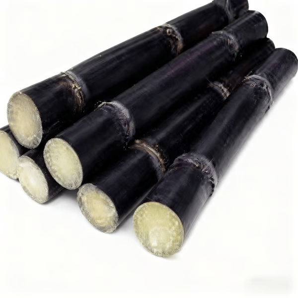 Sweet Harvest Starter Kit 🍃 Sugarcane Seeds