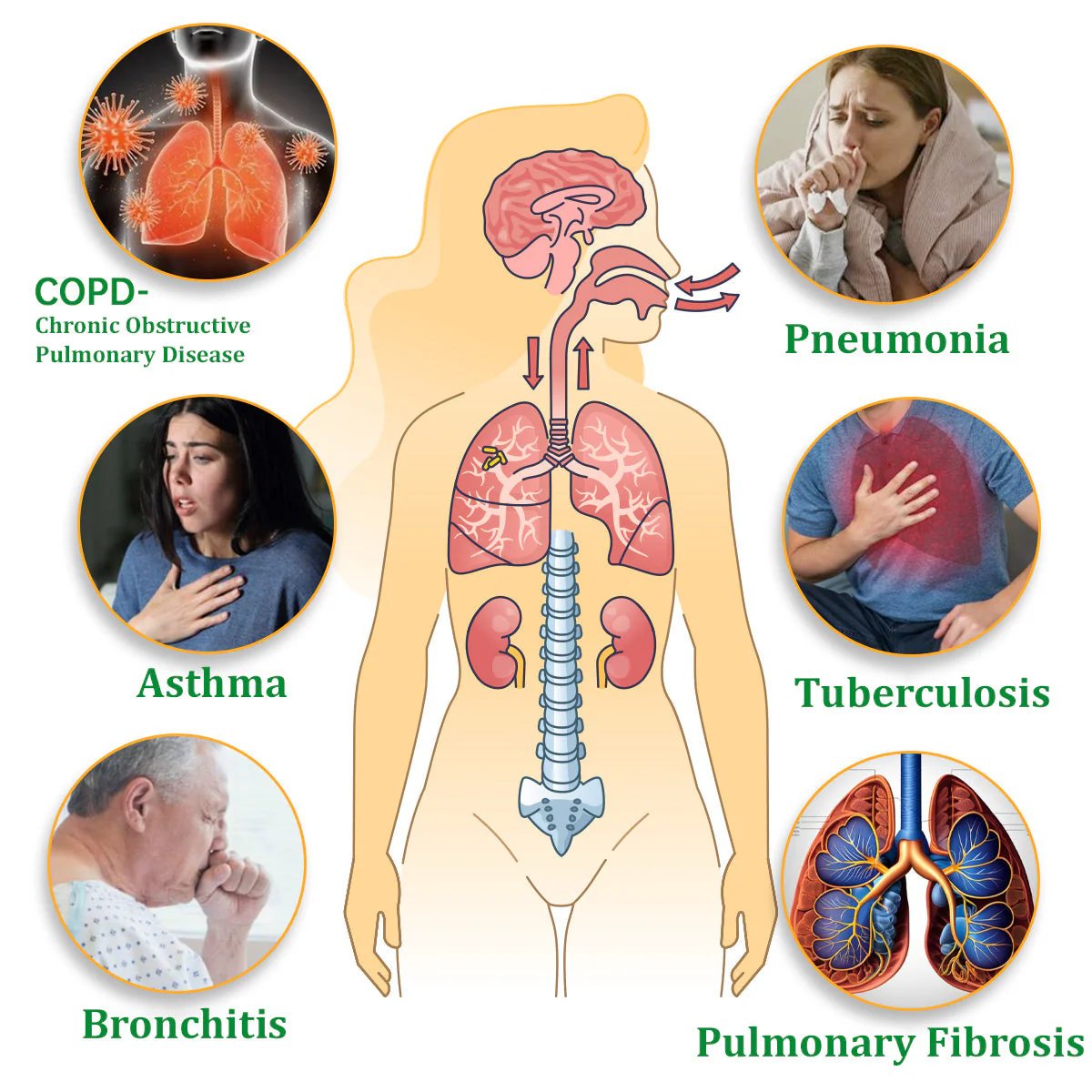 ✨ New upgraded version of Mullein Herbal Lung Purifier – 🔥 70% off today only!