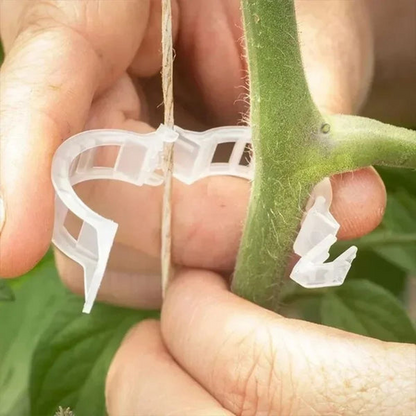 🔥Last Day 49% OFF-Reusable Plant Support Clips (100 clips)