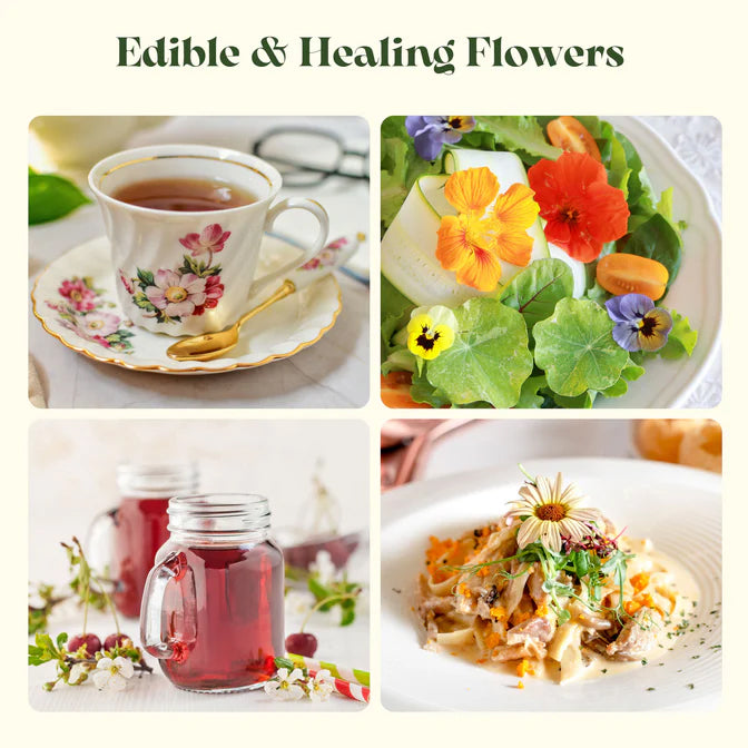 Edible Flower Seed Bank 2026 – 32 Non-GMO Varieties