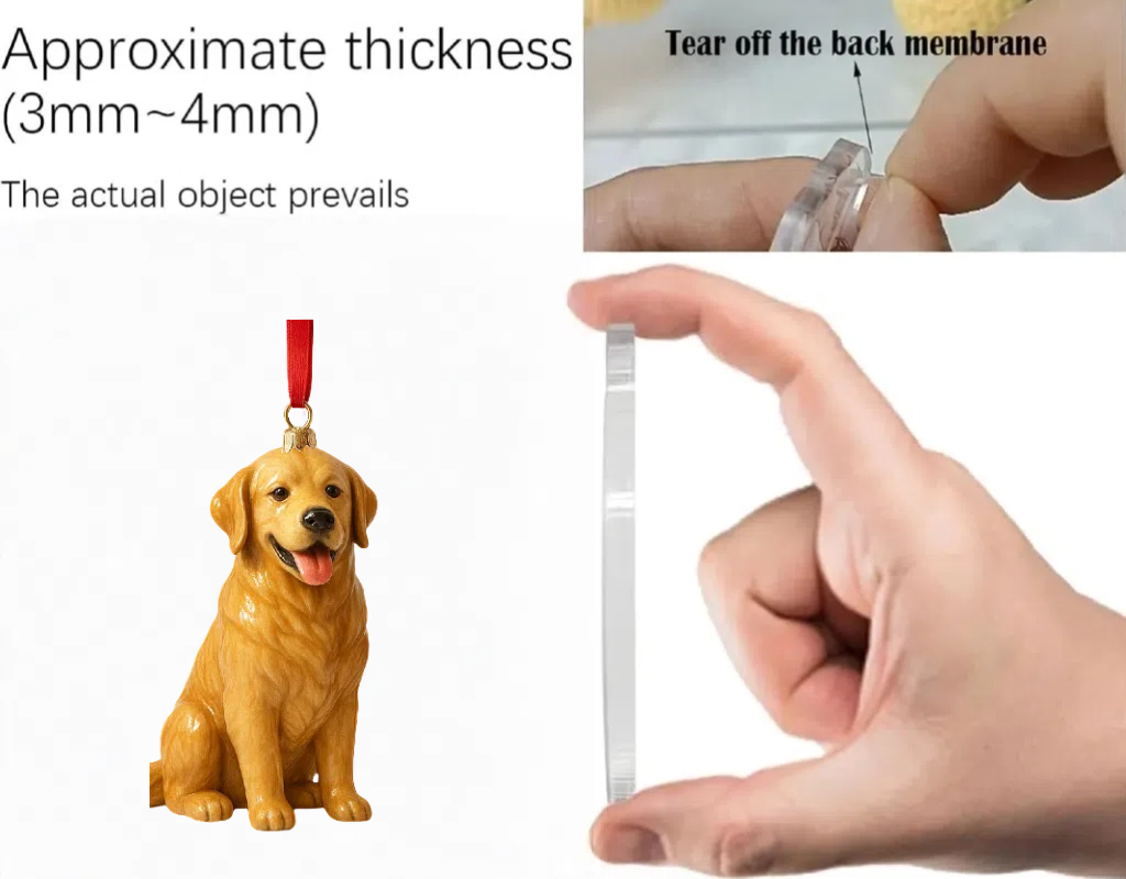 2025 Animal Advent Calendar