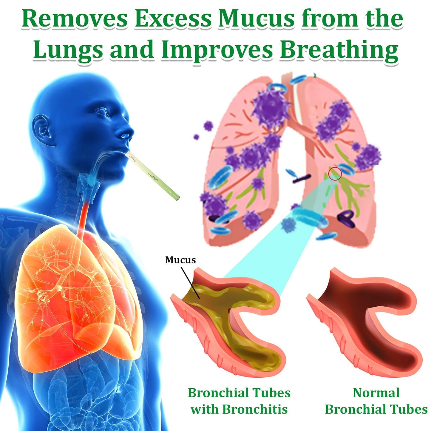 ✨ New upgraded version of Mullein Herbal Lung Purifier – 🔥 70% off today only!