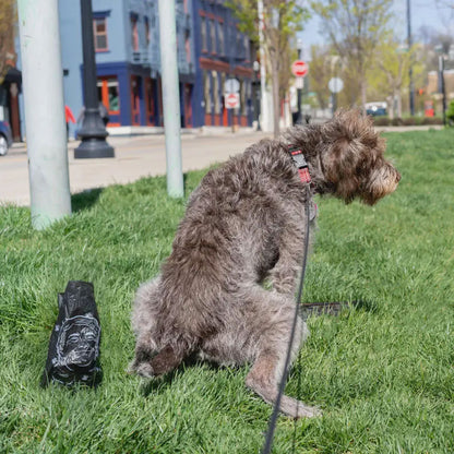 Dog Poop Bags