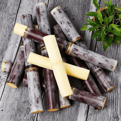 Sweet Harvest Starter Kit 🍃 Sugarcane Seeds