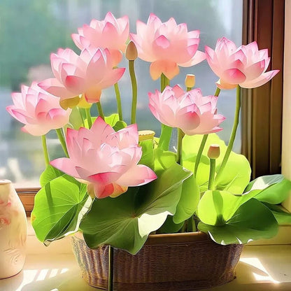 🌸[7 days germination]🔥HOT SALE - 49% OFF💐The Sacred Bonsai Bowl Lotus Flower Potted Plant